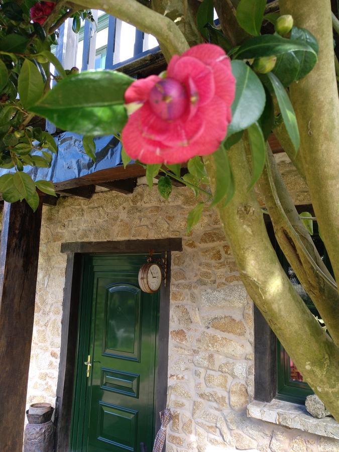 Mar Y Montana Guest House Ferrol Luaran gambar